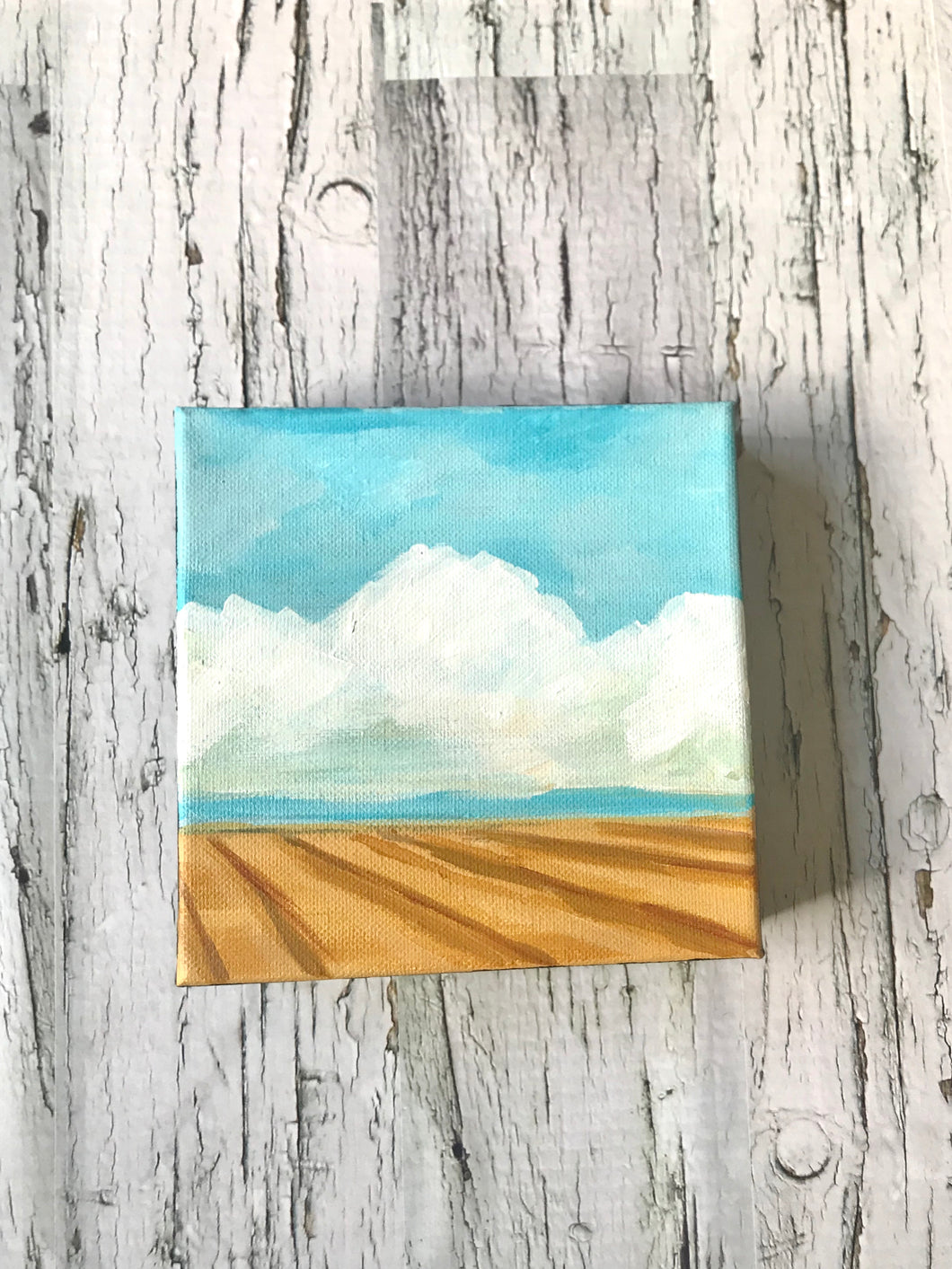 Mini Prairie Landscape No. 10