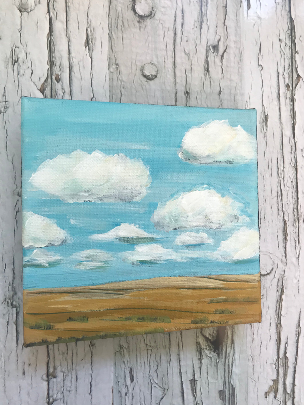 Mini Prairie Landscape No.13