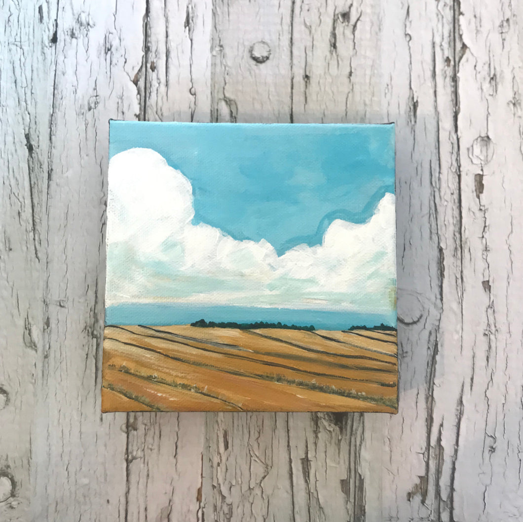 Mini Prairie Landscape No. 11