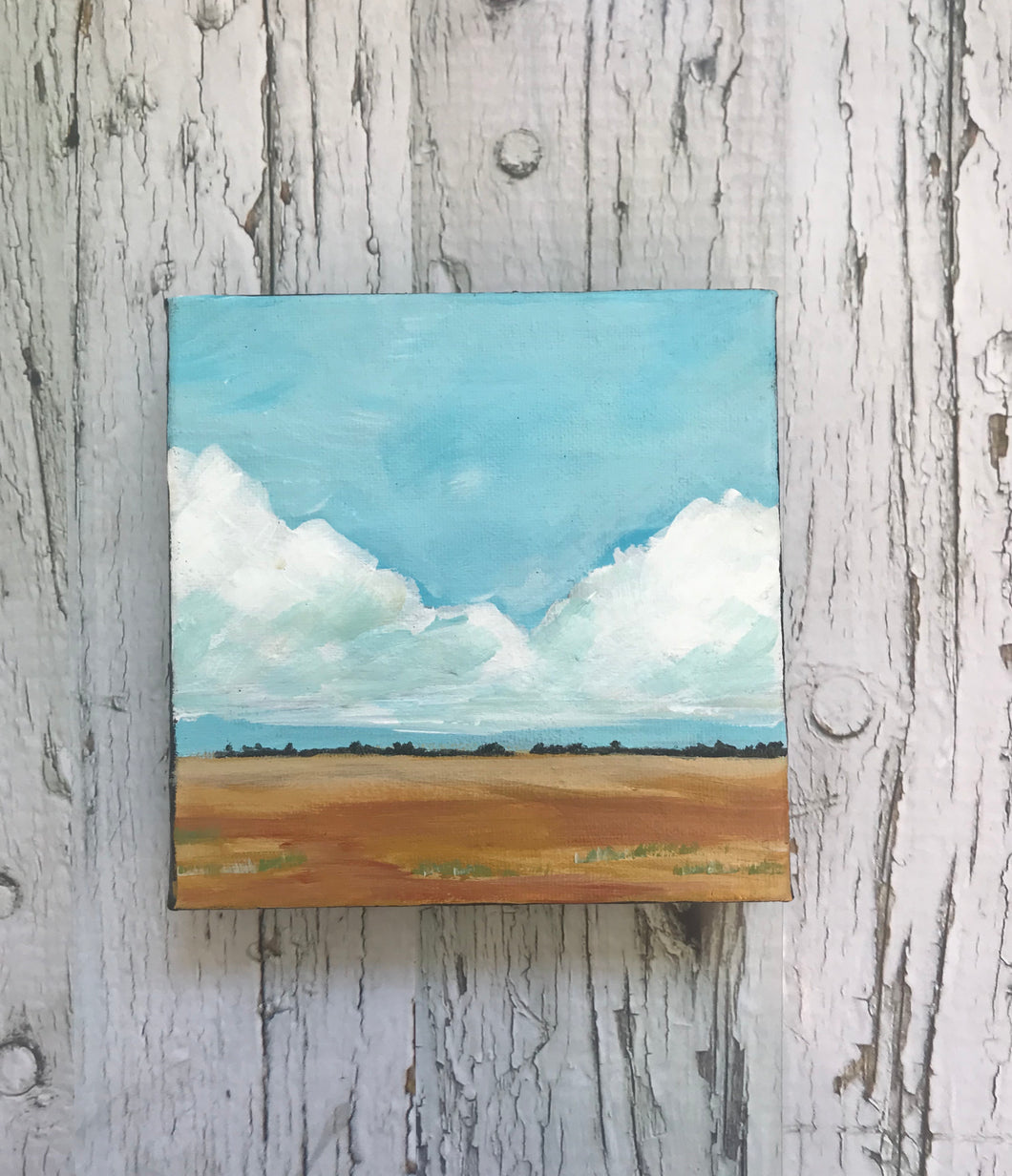 Mini Prairie Landscape No. 12