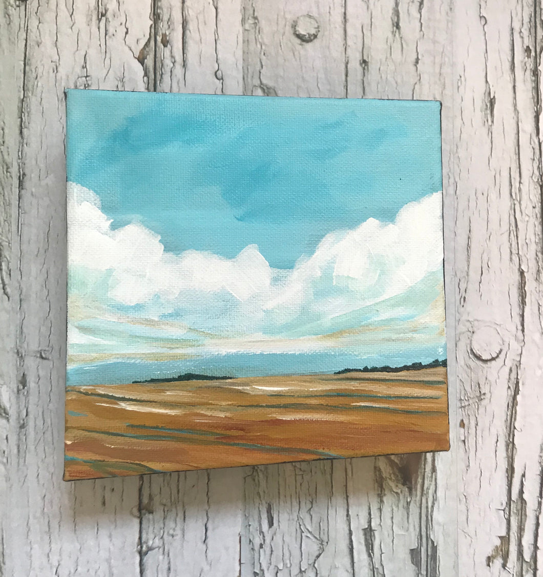 Mini Prairie Landscape No.9